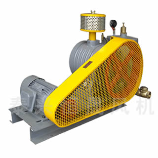 HC-60S水處理曝氣風(fēng)機(jī)漏油的原因有哪些