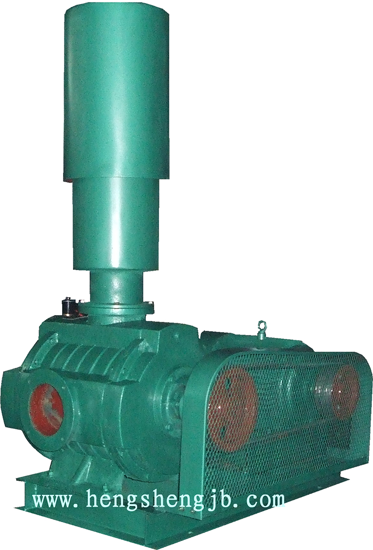 YH-125S水環(huán)式風(fēng)機(jī)